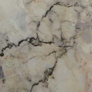 Meraki Onyx Onice Bicasso